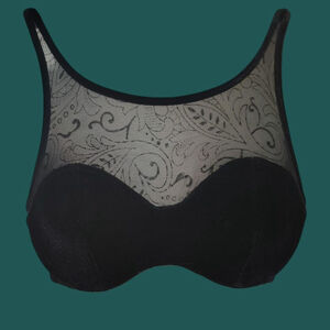 Victoria’s Secret Black Velvet Sheer Bra